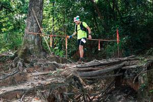 BIB: 
                            <button type="button" onclick="openModal(27800953)" class="btn btn-primary btn-sm float-right btn-popup" data-toggle="modal" data-target=".modal-high-quality">
                        <i class="fas fa-shopping-cart"></i> Add to Cart
                    </button>
                                            <button type="button" onclick="isThisMe(27800953, true)" class="btn btn-success btn-sm float-right btn-popup btn-isme hidden" data-toggle="tooltip" data-placement="bottom" title="นี่คือรูปของคุณใช่ไหม คลิกที่นี่เพื่อเอาเข้าอัลบั้ม">
                        <i class="fas fa-plus"></i> Add to album
                    </button>
                    <button type="button" onclick="isThisMe(27800953, false)" class="btn btn-warning btn-sm float-right btn-popup btn-isnotme hidden">
                        <i class="fas fa-ban"></i> Remove from album
                    </button>